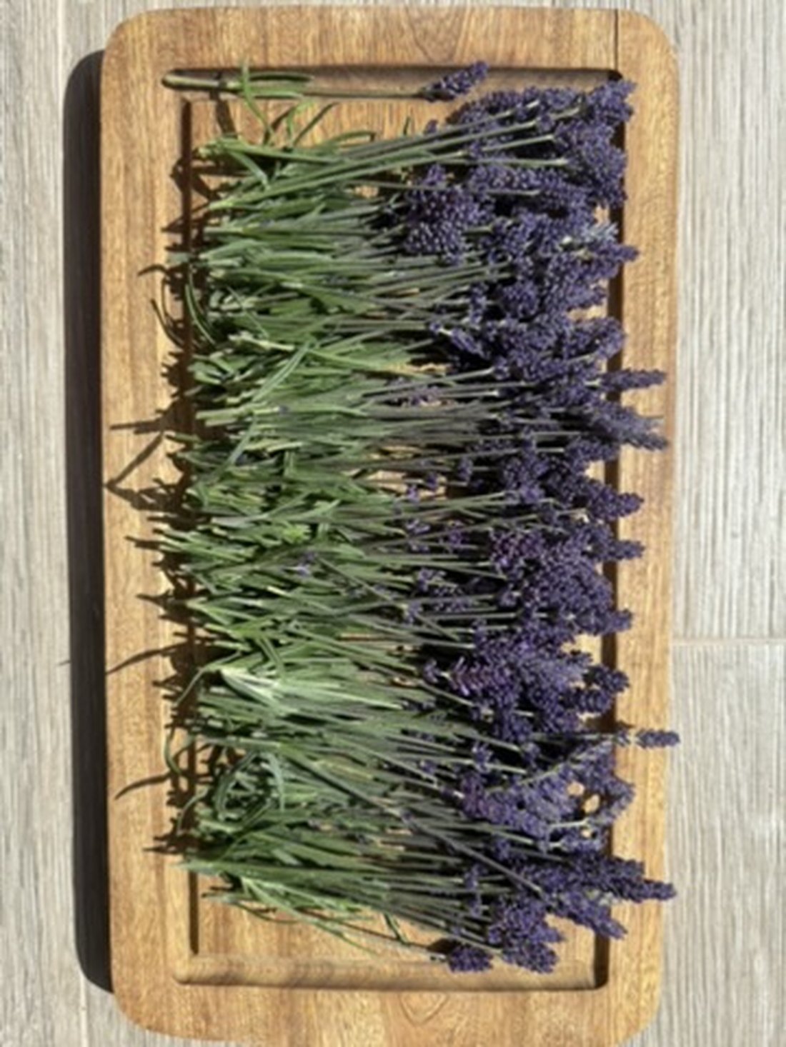 Cosecha de lavanda sobre tabla de madera